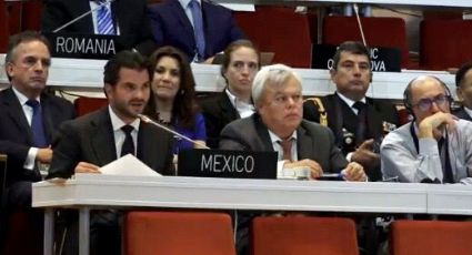 Reconoce UNESCO esfuerzos de México por preservar la vaquita marina