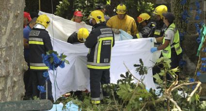 Reportan 11 muertos tras caída de árbol en Portugal