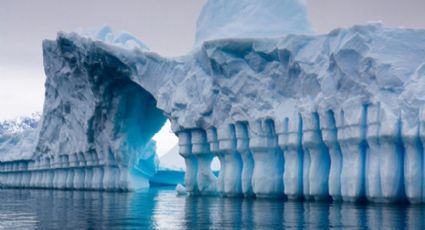 Cambio climático amenaza con alterar al ecosistema antártico