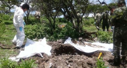 Hallan 14 cadáveres en fosa clandestina en Zacatecas