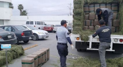 En Jalisco, PF detiene a hombre con más de 600 kilos de mariguana