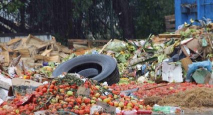 El mundo desperdicia mil 300 millones de toneladas de alimentos al año