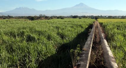 Campesinos piden consulta sobre el capítulo agropecuario en el TLCAN
