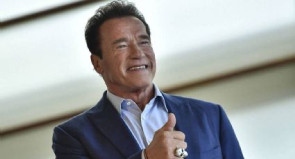 Nueva especie de mosca, nombrada en honor a Arnold Schwarzenegger (FOTO) 