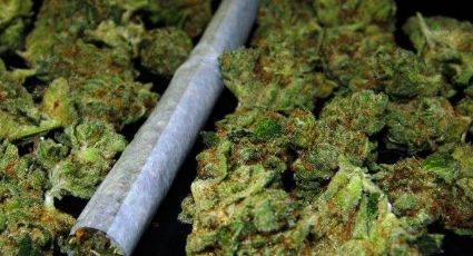 Legalización de drogas no garantiza disminución de violencia: ONC