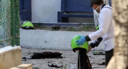 Atentado en Colombia deja tres policías muertos y 17 heridos