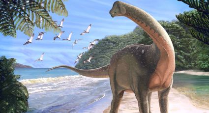 Descubren fósil de dinosaurio de casi 10 metros de largo en Egipto