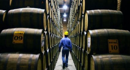 Baja de impuestos a bebidas en EEUU favorece exportación de tequila: CTR