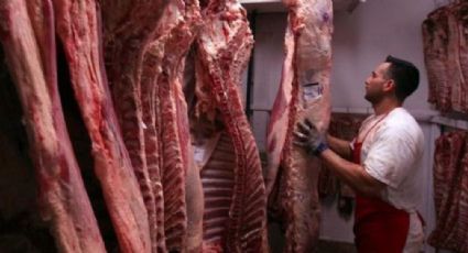 Europa intenta proteger mercado de carne, busca impedir exportación mexicana: CNOG