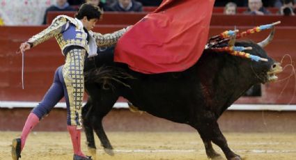 Congreso de la CDMX rechaza consulta pública para corridas de toros 