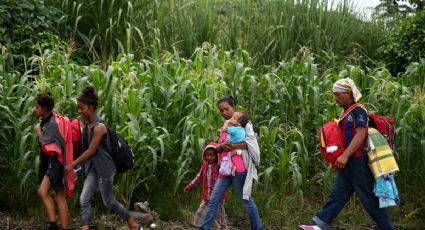 Respalda PVEM postura de AMLO sobre Caravana Migrante; exige no criminalizar a centroamericanos