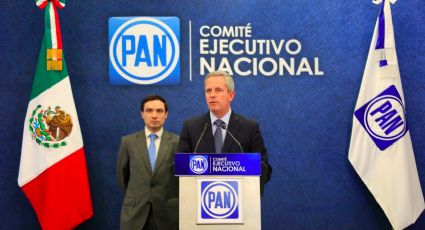 PAN afirma que resoluciones del TEPJF 'violan voluntad ciudadana'