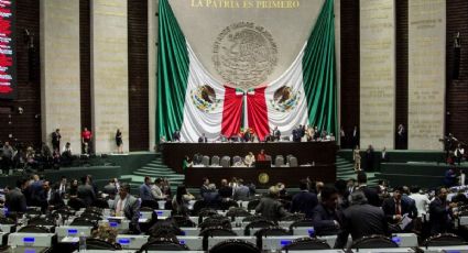  Diputados otorgan aplauso a Del Paso; Mayer invita a homenaje en “Palacio Nacional”