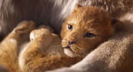 Mira el primer tráiler de la nueva versión del 'Rey León' (VIDEO) 
