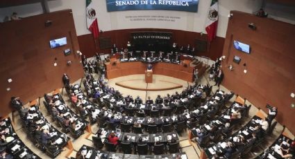 Senado avala una serie de reformas a la Ley del SAT