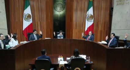 TEPJF multa con 80 mil pesos a Mexicanos Primero