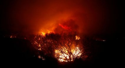 Incendio forestal destruye cientos de casas y provoca la muerte varias personas