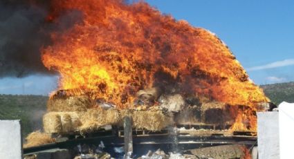 Destruye PGR dos toneladas de narcóticos en Mexicali