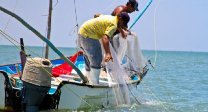 Buscarán aumentar producción y consumo de alimentos de la pesca en México