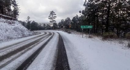 Cierran carreteras en Chihuahua por intensas nevadas (FOTOS)