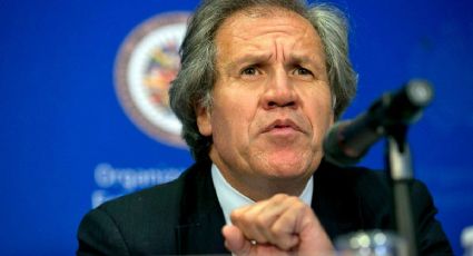 Luis Almagro busca reelegirse como secretario general de la OEA