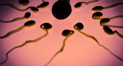 Crean el primer gel anticonceptivo para hombres