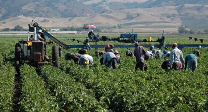 Secretarios del Trabajo acuerdan impulsar acciones para inhibir a 'enganchadores' de jornaleros agrícolas