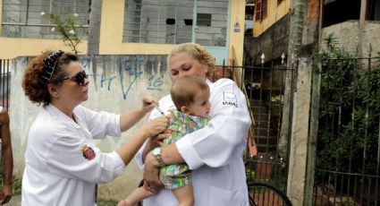 Fiebre amarilla deja 98 muertes en los últimos siete meses en Brasil (VIDEO)