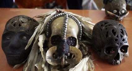 Frustran contrabando de cráneos ornamentales en Indonesia 