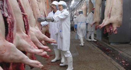 Exportación de carne de cerdo de EEUU a México depende de TLCAN