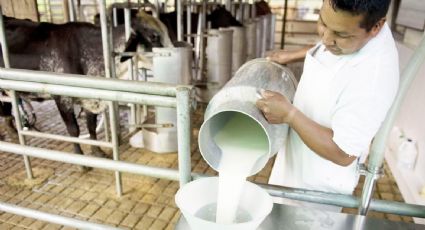 Liconsa ofrece nuevo aumento a sus proveedores de leche: Seder