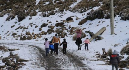 Registran temperatura de menos cinco grados en La Rosilla, Durango 