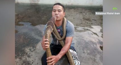 'Domador de serpientes' muere al ser mordido por una cobra (VIDEO) 