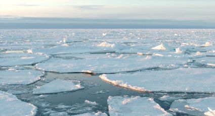 Reducción del hielo antártico en 2018, el segundo nivel más bajo registrado