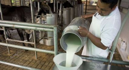 Impulsa TLCAN exportaciones de lácteos de EEUU a México: expertos
