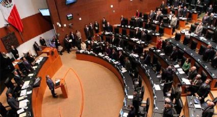 Senado rechaza realizar moción de procedimiento a Cordero (VIDEO)