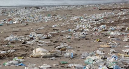 Buceador graba 'un mar de basura' en isla de Bali (VIDEO) 