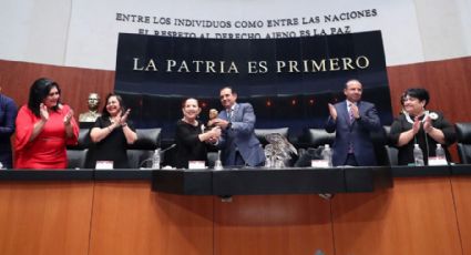 Senado entrega reconocimiento 'Elvia Carrillo Puerto' a María Elena Chapa