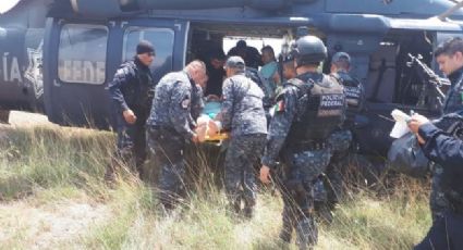 Emboscada contra elementos de la Gendarmería deja 2 heridos en Guerrero