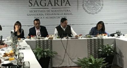 Asegura titular de Sagarpa que dejará una dependencia sólida y sin subejercicios
