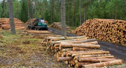 El daño ambiental representa el 4.6% del PIB en México: CNDH