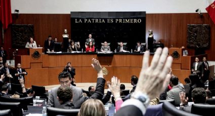 Senado ratifica a Eduardo Mendoza como titular de la Cofece 