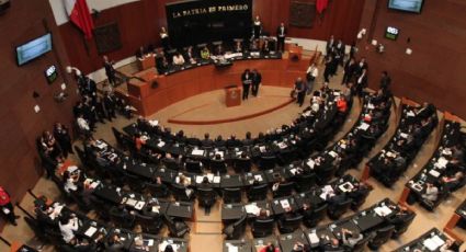 Senado avala el decreto que expide la nueva Ley General de Seguridad Privada