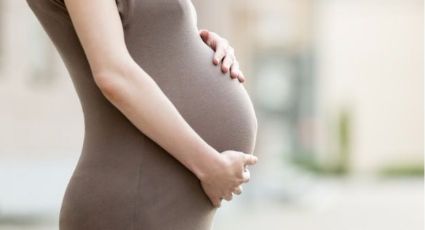 IMSS debe garantizar cabalmente derechos de embarazadas, exige diputada