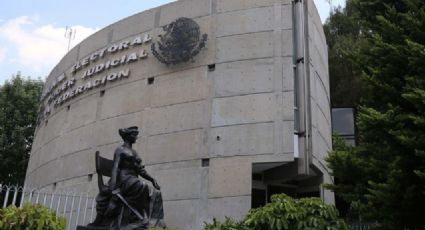 OEA expresa satisfacción por labor del TEPJF