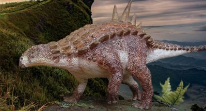 Descubren nueva especie de dinosaurio en México 