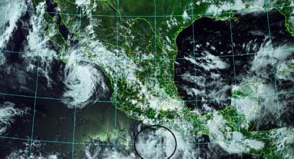 Bud se acerca a costas de BCS; frente a Guerrero se forma depresión tropical: SMN