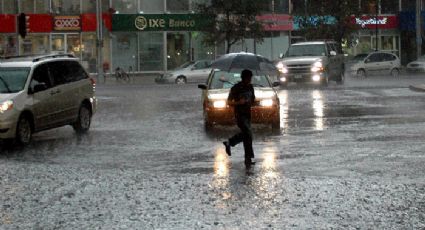 Lluvias dejan 16 anegaciones y un árbol caído en la CDMX (VIDEO) 