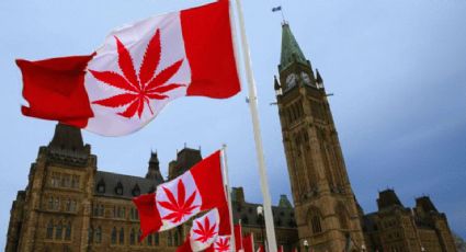 Senado de Canadá aprueba la legalización de la mariguana
