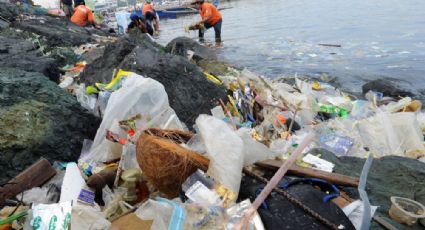 Ante tendencia de desperdicios 'podría haber más plásticos que peces para 2050' en el mar: UNAM
